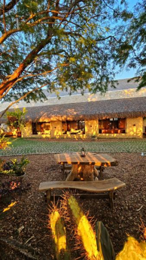 Casa Cactus Praia